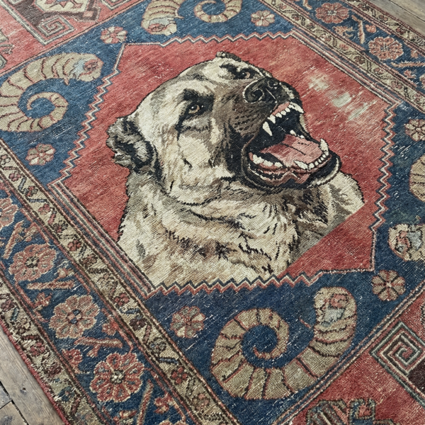 Bazzano Home Yıkanabilir, Dijital Baskı Halı – BZN - Kangal