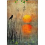 Bazzano Home Yıkanabilir, Dijital Baskı Halı – BZN - RZ 0003 - Görsel 8