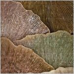 Bazzano Home Yıkanabilir, Dijital Baskı Halı – BZN - RZ 0027 - Görsel 2